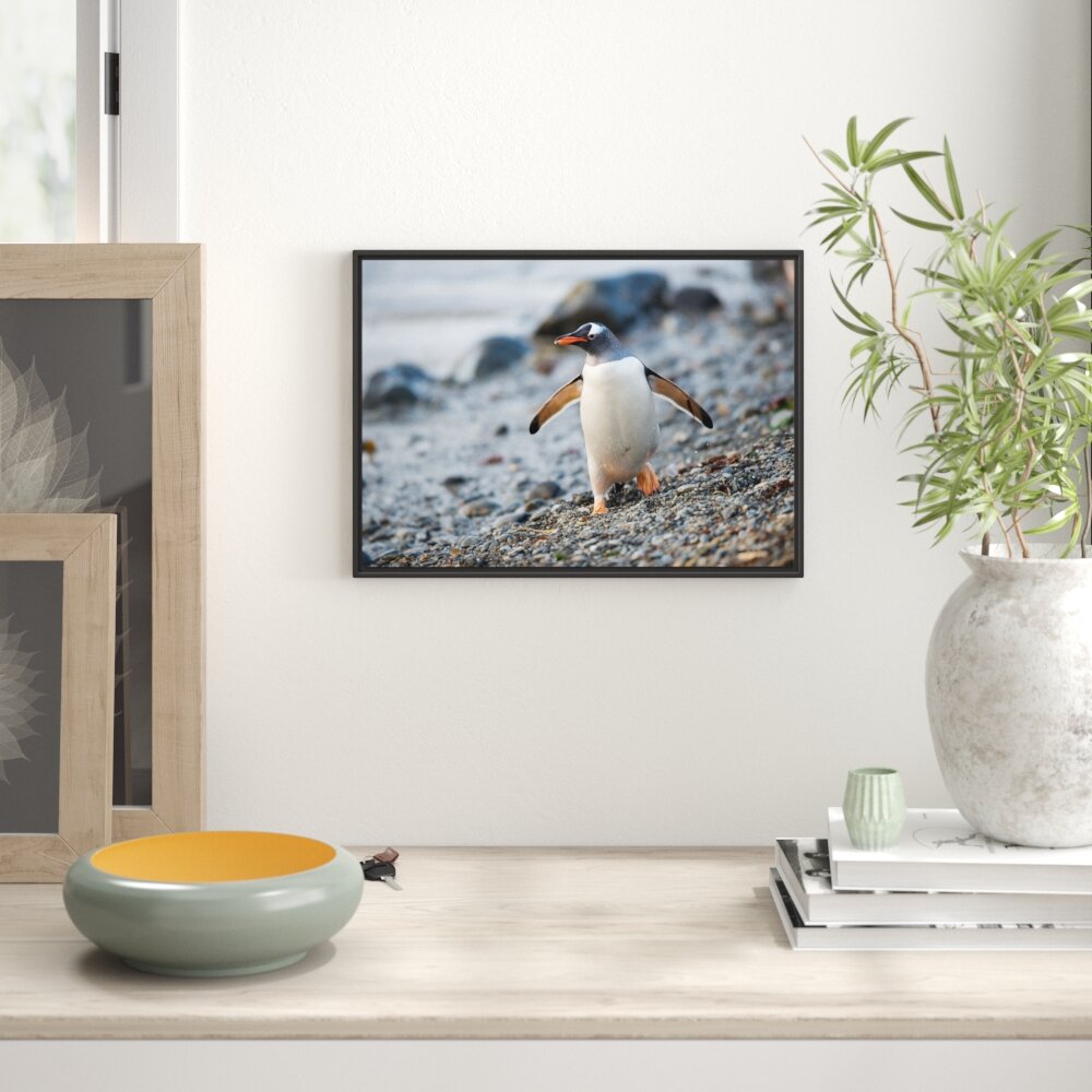 Gerahmtes Wandbild Pinguine