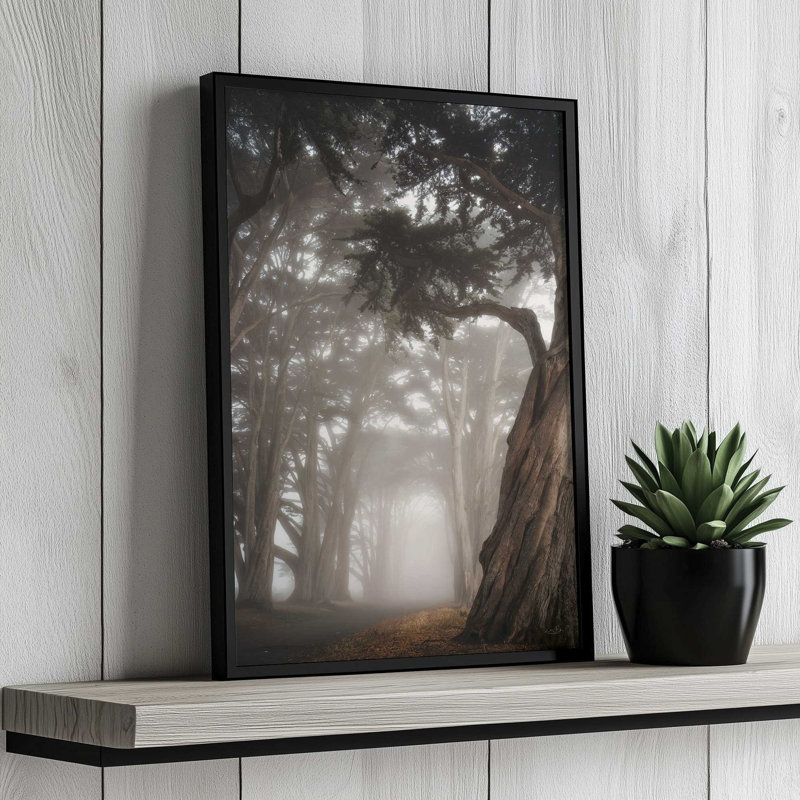 «Cypress Dreams» par Martin Podt, reproduction d'art, L 24 po x H 36 po, Framed Print, White