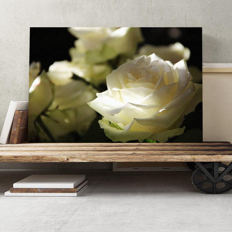 Wrapped Canvas Print, 50cm H x 76cm W