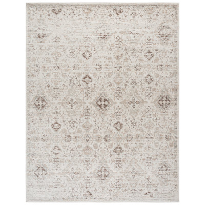 Evoke 224 Performance Oriental Rug