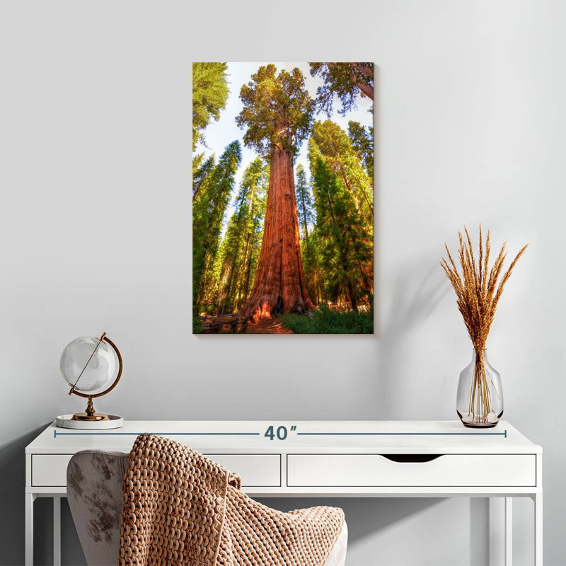Harnek Redwood Tree Grove, 24" H x 16" W