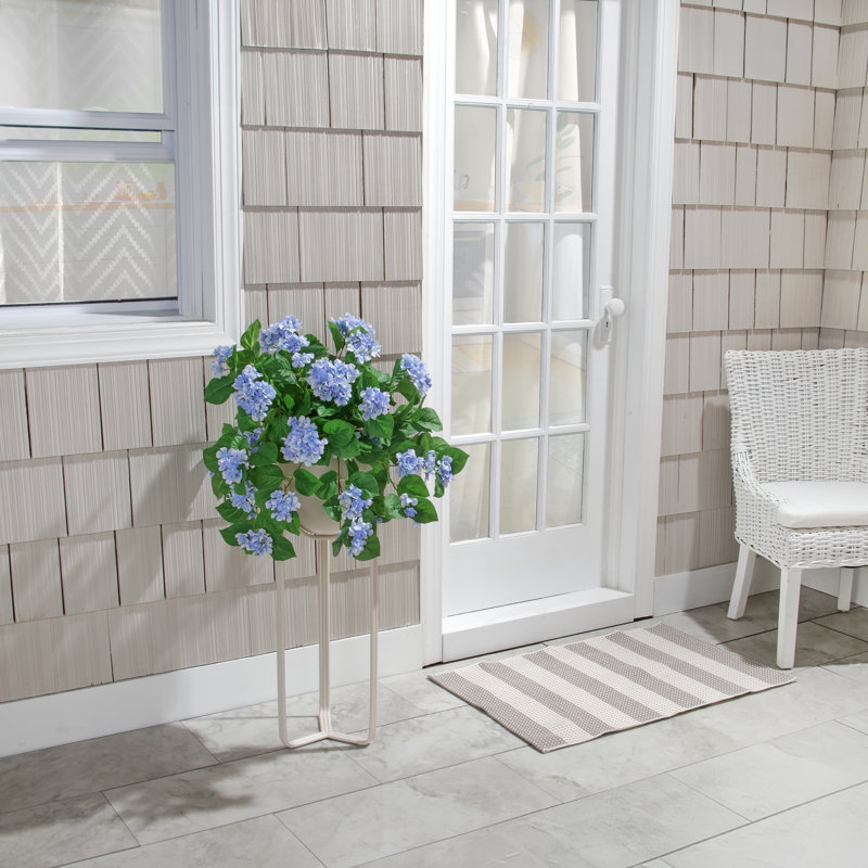 Hortensia suspendu 27 "UV, Bleu