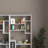 Timaeus Bookcase-1822223351