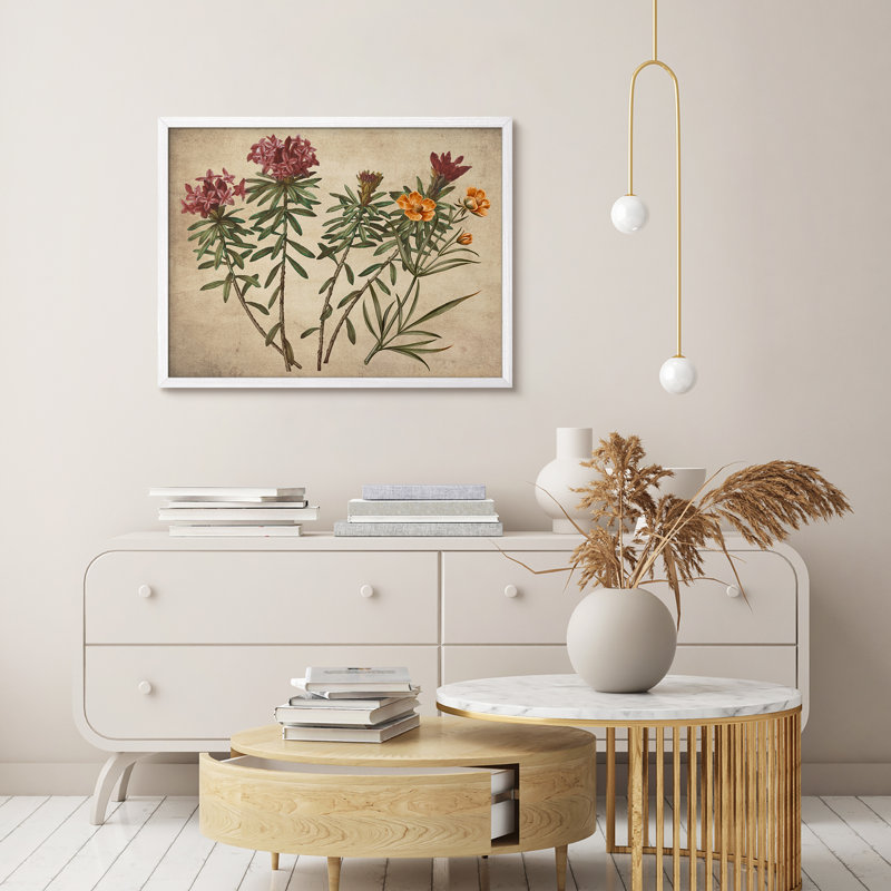 "Fleurs, art floral botanique rustique, affiches encadrées, petit art mural de salle de bain", Blanc, H 11 po x l 14 po