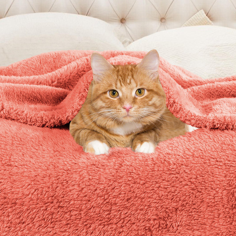 Superior Solid Polyester Reversible All-Season Fleece Throws Blanket, Coral, Throw