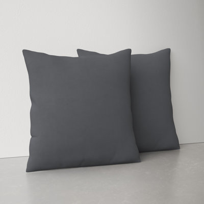 Borgey Outdoor Reversible Throw Pillow