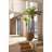 Plant in Pot Liner-1381716857