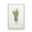 Présentoir à plantes, lot de 3 impressions-912982760-912982766-912982757