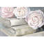 Vieille rose - reproduction sur toile-1555571681