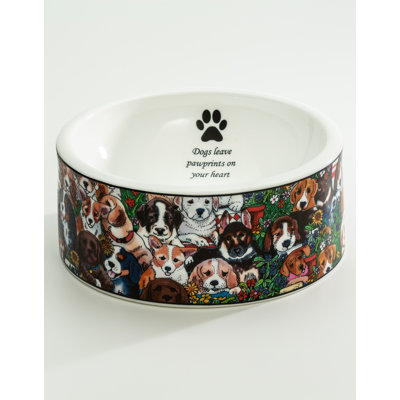 Bol pour animal de compagnie 10 tasses
