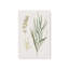 Ensemble de 4 «Earthy Greens in Bloom»-876046556-876046552