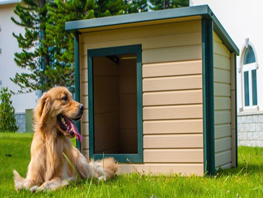 Golden retriever lounges in front of dog house.