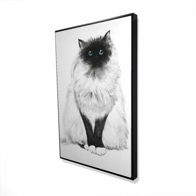 Blue Eyes Fluffy Siamese Cat Canvas - Pets Home Decor
