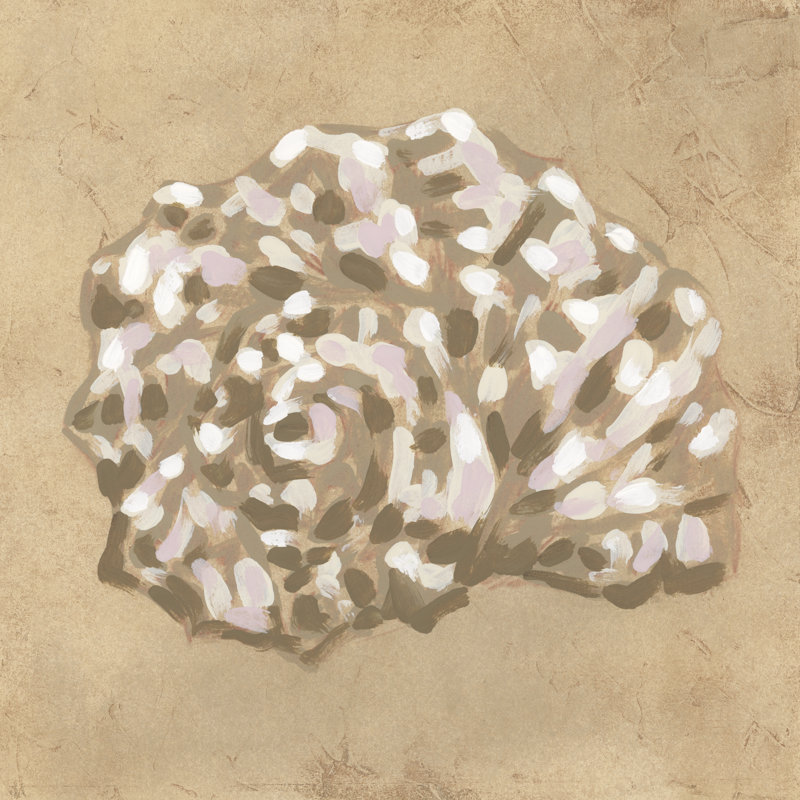 Tandis Earthtone Shell II by June Erica Vess - Wrapped Canvas Print, 30 cm H x 30 cm W