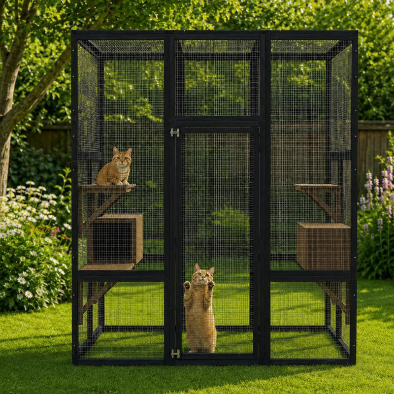 Cat House, Black