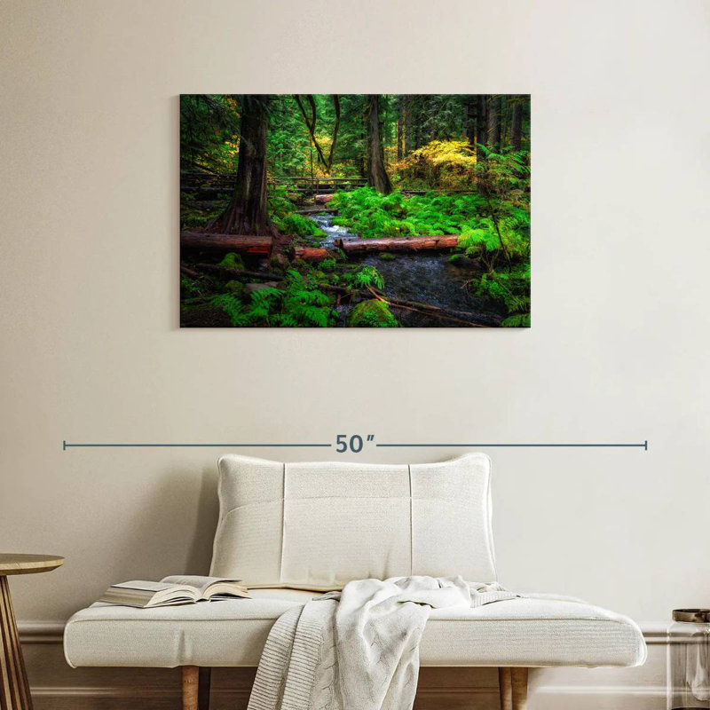 Ruisseau Alvord Willamette National Forest, H 24 po x l 36 po