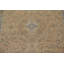 Traditional   Area Rug 10x13