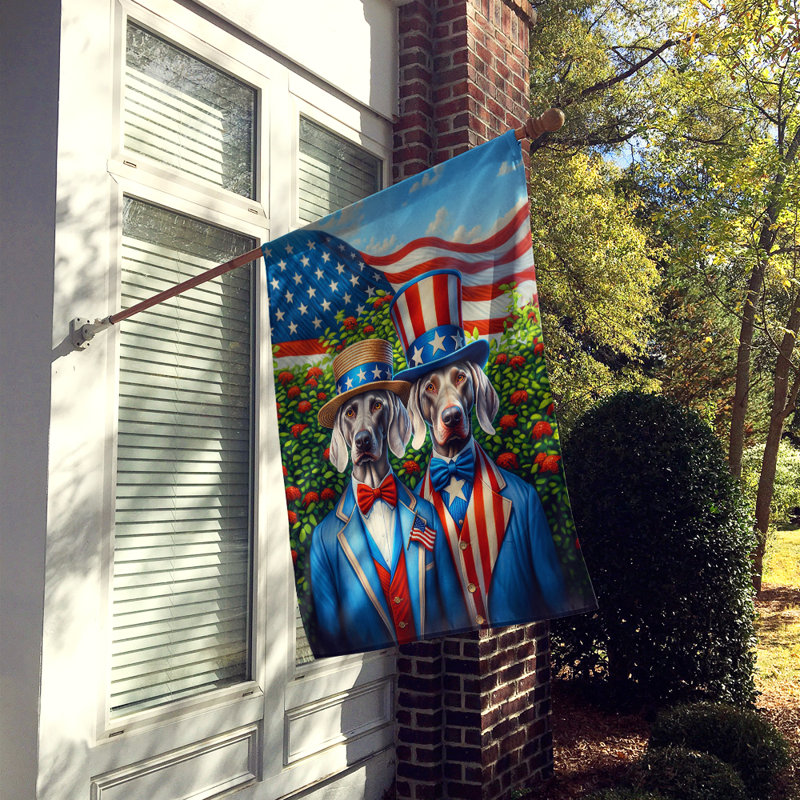 Drapeau «All American House», Braque de Weimar