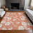  Machine Washable Indoor/Outdoor Chayden ACN1032 Rug-1070234704