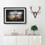 A Resting Highland Cow - Picture Frame Graphic Art Print-56876635-56876634