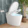 Bidet Toilet, One-Piece Elongated Smart Toilet with Foot Kick Flush, Warm Wash (Seat Included)