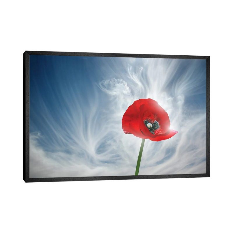 You Drive Me Crazy by Ben Heine - Floater Frame Print on Canvas, 66.04 cm H x 45.72 cm W, Black Framed Canvas