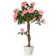 Charleston 90cm Plant-55937756