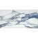 Splendor 23.62'' W x 47.25'' L Porcelain Singular Tile