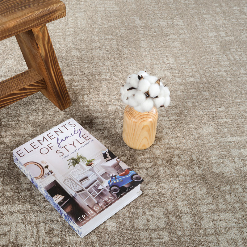 Machine Washable Frances Beige/Brown Rug, Rectangle 10' x 14'