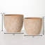Harter Pot Planter - Set of 2-629568357
