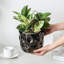 Handmade Pot Planter