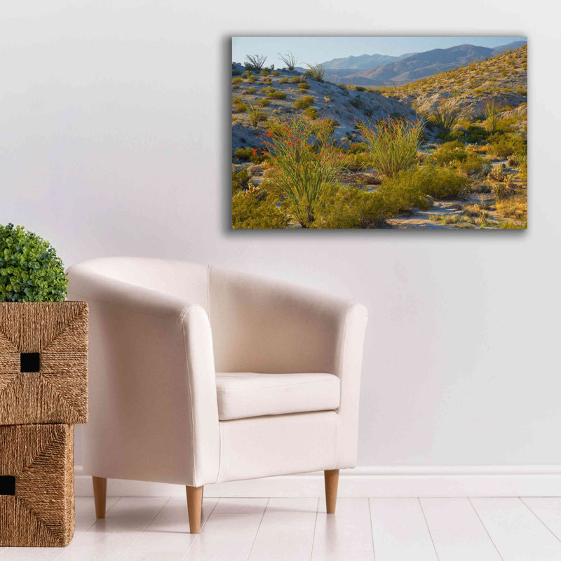 «Desert Ocotillo Landscape» par John Gavrilis, estampe numérique sur toile, H 26 po x l 40 po x P 1,5 po