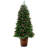 5' H Lighted Artificial Spruce Christmas Tree