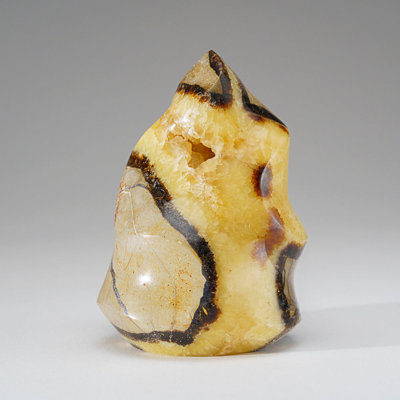 Septarian Crystal