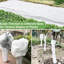 Planter Box-134588427