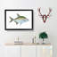 Bream Fish by Edward Donovan - Picture Frame Painting Print-55513200-55513206