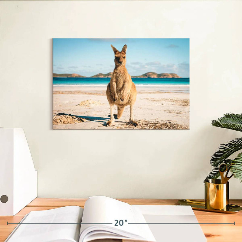 Crowle Lucky Bay Kangaroo, 8" H x 12" W