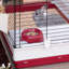 Rabbit Cage