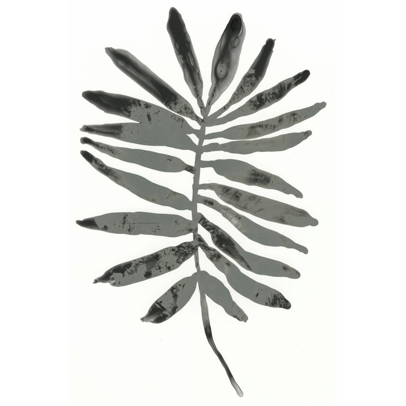 Foliage Fossil VII by June Erica Vess - Wrapped Canvas Print, 46cm H x 30cm W