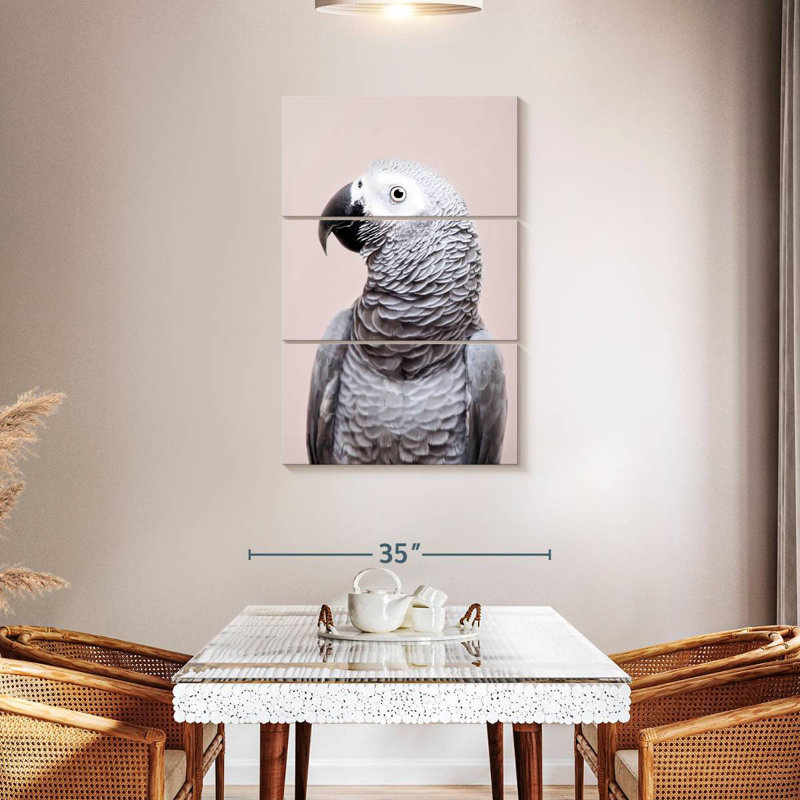 Brampt African Grey