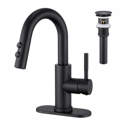 Single Handle High Arc Bathroom Sink Faucet with Pull Out Sprayer and Pop Up Drain