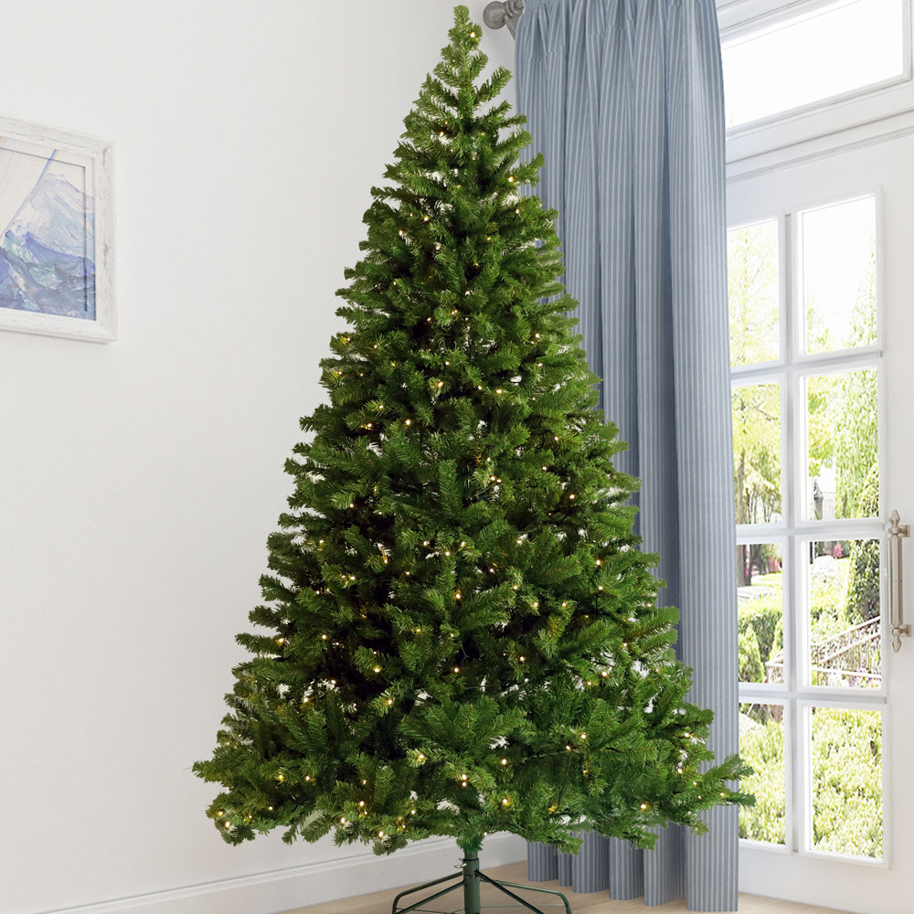 https://assets.wfcdn.com/im/00778509/compr-r85/2589/258954578/easy-set-up-6-lighted-christmas-tree.jpg