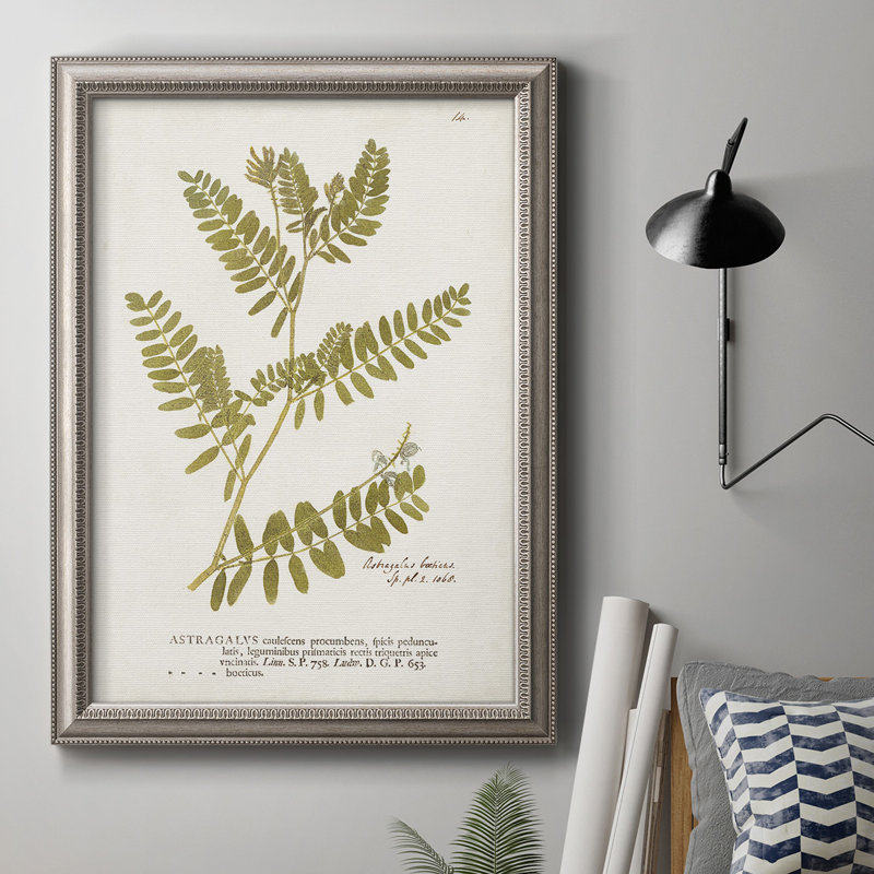 Nature Ferns V - reproduction de cadre photo sur toile, L 16 po x H 20 po, Cadre argenté antique