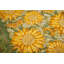 Sunflower Handmade Floral Tablecloth