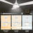 52'' Ceiling Fan with LED Lights-1621257687