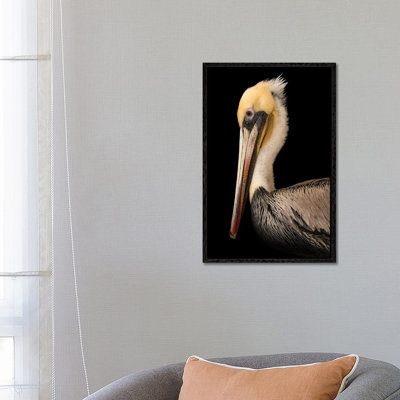 A Brown Pelican At The Santa Barbara Wildlife Care Network by Joel Sartore - Gallery-Wrapped Canvas Giclée on Canvas