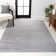 Asaiah Solid Low-Pile Light Gray Rug