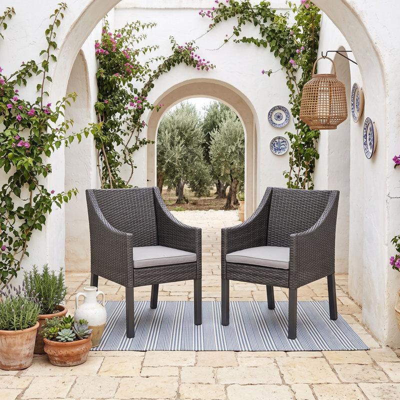 Ensemble de 2 chaises d'extérieur en osier