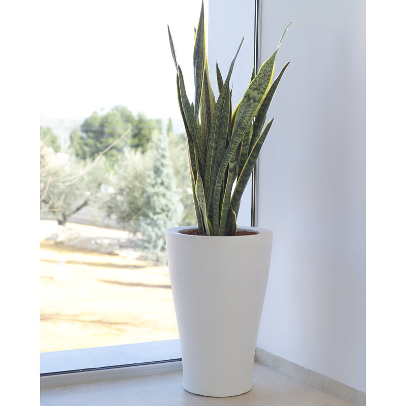 Pot à fleur en résine Curvada, Blanc, H 26,75 po x l 17,75 po x P 17,75 po