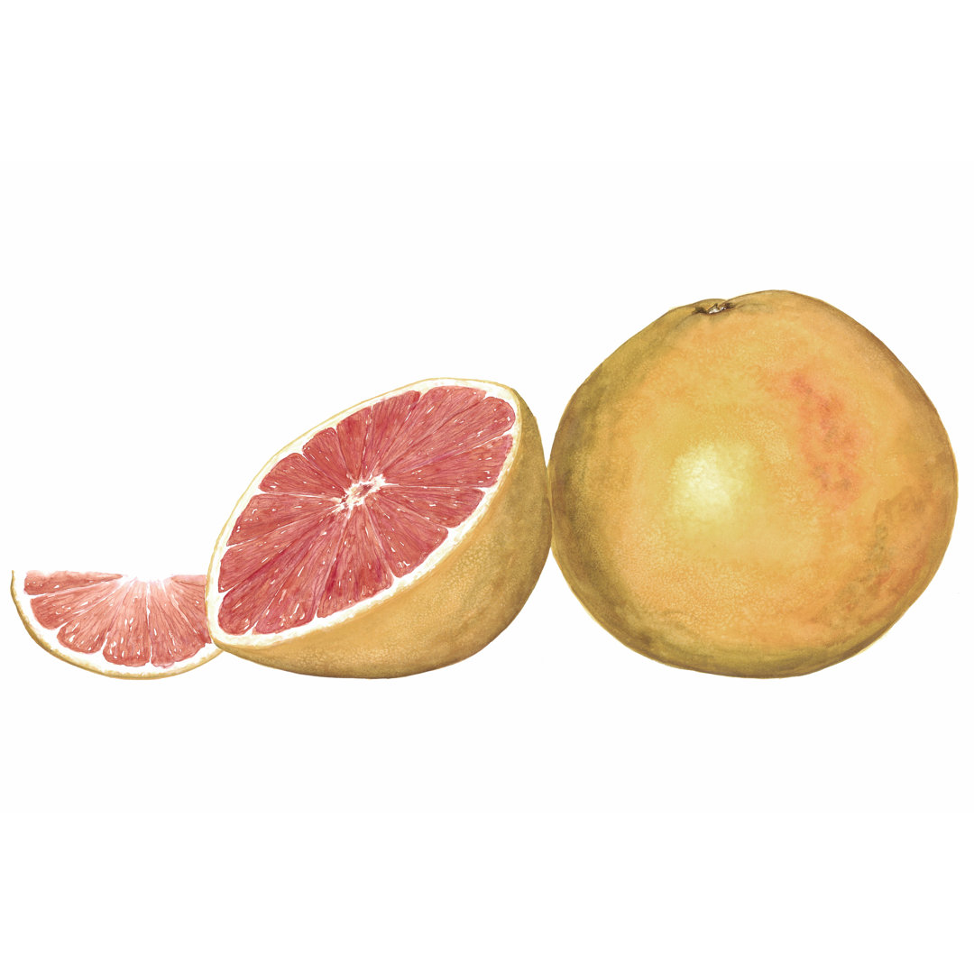 Leinwandbild Watercolour Grapefruit von Michael Willett